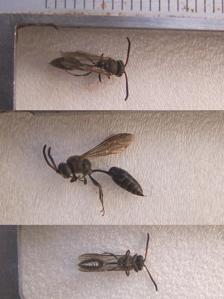 FIGURE 3 FIGURE 3